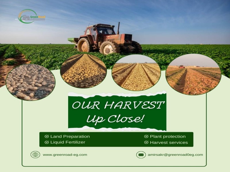 green-road-for-agricultural-investment-company-2