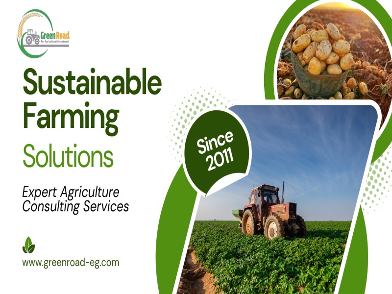 green-road-for-agricultural-investment-company-6